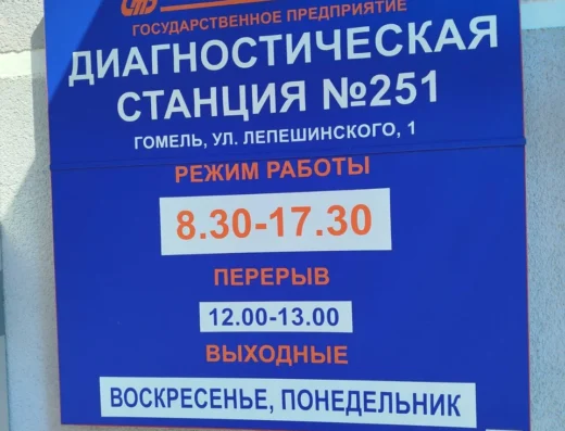 Диагностическая станция #251