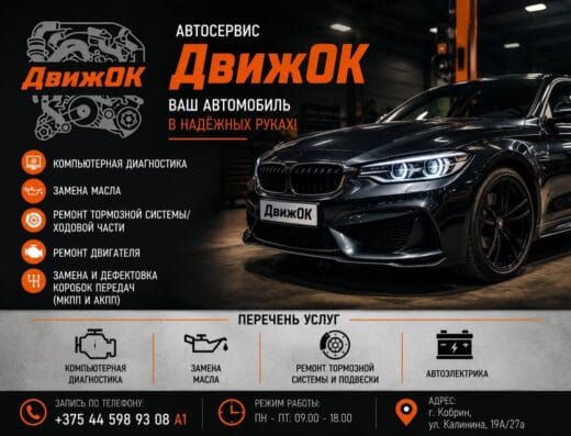 СТО «ДвижОК»